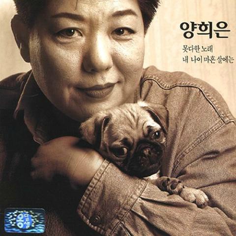 사진없음